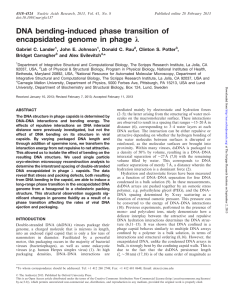 DNA bending-induced phase transition of encapsidated genome in phage j