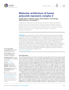 Molecular architecture of human polycomb repressive complex 2