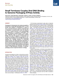 Article Small Terminase Couples Viral DNA Binding to Genome-Packaging ATPase Activity Structure
