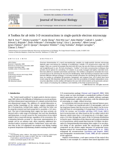 A Toolbox for ab initio 3-D reconstructions in single-particle electron...