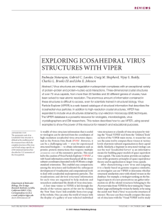 EXPLORING ICOSAHEDRAL VIRUS STRUCTURES WITH VIPER