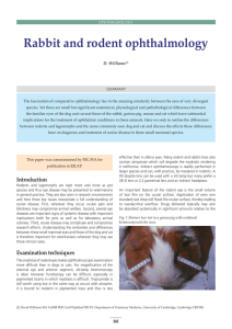 Rabbit and rodent ophthalmology D. Williams