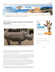 Zoo Launches Genetic Project to Save Northern White Rhino