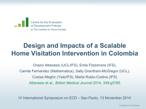 Design and Impacts of a Scalable Home Visitation Intervention in Colombia