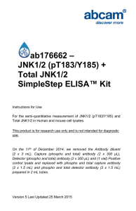 ab176662 – JNK1/2 (pT183/Y185) + Total JNK1/2 SimpleStep ELISA™ Kit