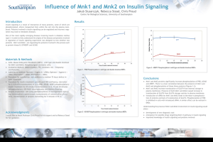 Influence of Mnk1 and Mnk2 on Insulin Signaling Results Introduction