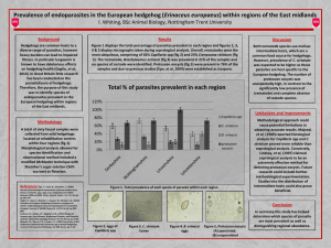 Erinaceus europaeus I. Whiting, BSc Animal Biology, Nottingham Trent University Background Results