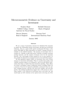 Microeconometric Evidence on Uncertainty and Investment