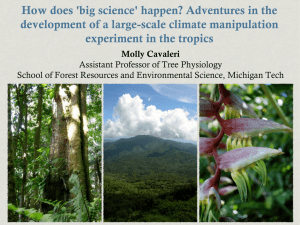 How does 'big science' happen? Adventures in the