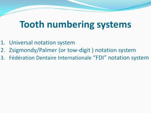 Tooth numbering systems 1. Universal notation system “FDI” notation system