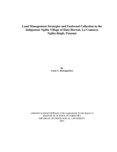 Land Management Strategies and Fuelwood Collection in the