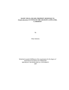 MAIZE YIELD AND SOIL PROPERTY RESPONSE TO CAMEROON Entada abyssinica