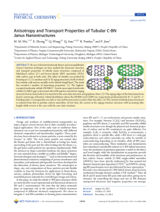 Anisotropy and Transport Properties of Tubular C-BN Janus Nanostructures M. M. Wu,