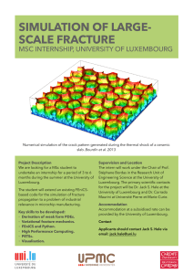 SIMULATION OF LARGE- SCALE FRACTURE MSC INTERNSHIP, UNIVERSITY OF LUXEMBOURG