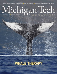 WHALE THERAPY  10 to-dos before starting your biz The anti-hacker