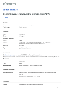 Recombinant Human PEX2 protein ab159292 Product datasheet 1 Image Overview