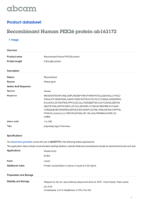 Recombinant Human PEX26 protein ab163172 Product datasheet 1 Image Overview