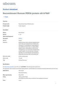 Recombinant Human PEX26 protein ab167869 Product datasheet 1 Image Overview