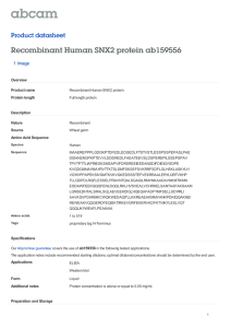 Recombinant Human SNX2 protein ab159556 Product datasheet 1 Image Overview