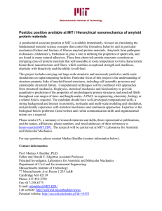 Postdoc position available at MIT / Hierarchical nanomechanics of amyloid