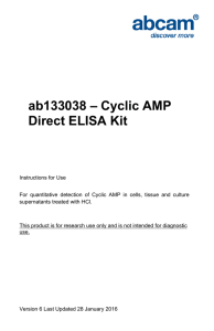 ab133038 – Cyclic AMP Direct ELISA Kit