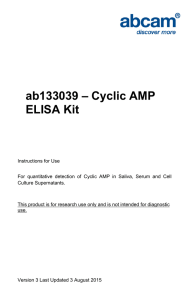 ab133039 – Cyclic AMP ELISA Kit