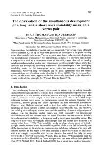 The observation of  the simultaneous development of vortex pair