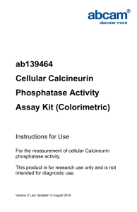 ab139464 Cellular Calcineurin Phosphatase Activity Assay Kit (Colorimetric)