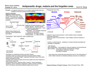 Antiparasitic drugs; malaria and the forgotten ones Baran group meeting October 4