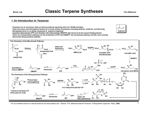 Classic Terpene Syntheses  I. An Introduction to Terpenes Baran Lab