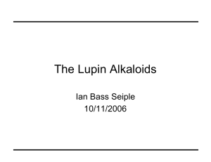 The Lupin Alkaloids Ian Bass Seiple 10/11/2006