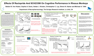 Effects Of Raclopride And SCH23390 On Cognitive Performance in Rhesus...