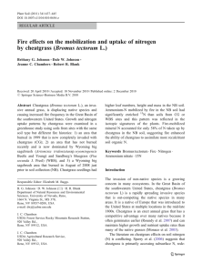 Fire effects on the mobilization and uptake of nitrogen REGULAR ARTICLE