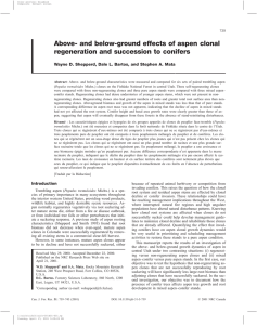 Above- and below-ground effects of aspen clonal