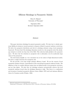Eﬃcient Shrinkage in Parametric Models Bruce E. Hansen University of Wisconsin September 2012