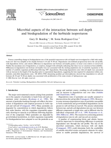 Microbial aspects of the interaction between soil depth