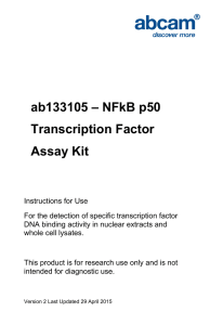 ab133105 – NFkB p50 Transcription Factor Assay Kit