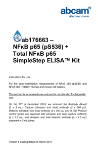 ab176663 – NFĸB p65 (pS536) + Total NFĸB p65 SimpleStep ELISA™ Kit