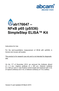 ab176647 – NFĸB p65 (pS536) SimpleStep ELISA™ Kit