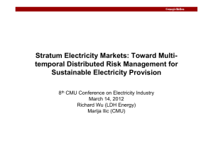 Stratum Electricity Markets: Toward Multi- St atu ect c ty a