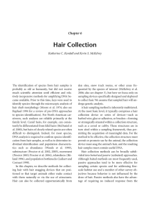 Hair Collection Chapter 6 Katherine C. Kendall and Kevin S. McKelvey