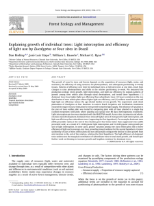 Explaining growth of individual trees: Light interception and efﬁciency