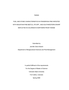 THESIS FUEL AND STAND CHARACTERISITICS IN PONDEROSA PINE INFESTED IPS