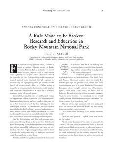A Rule Made to be Broken: Research and Education in