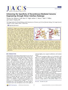 ﬁcity of Recombinase-Mediated Genome Enhancing the Speci Engineering through Dimer Interface Redesign