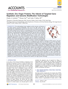 Synthetic Zinc Finger Proteins: The Advent of Targeted Gene ﬁcation Technologies