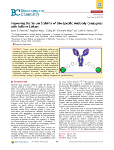 ﬁc Antibody Conjugates Improving the Serum Stability of Site-Speci with Sulfone Linkers *