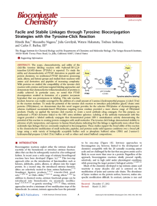 Facile and Stabile Linkages through Tyrosine: Bioconjugation