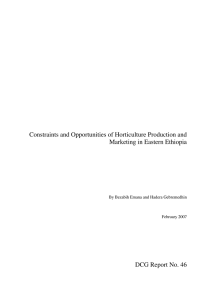 Constraints and Opportunities of Horticulture Production and Marketing in Eastern Ethiopia