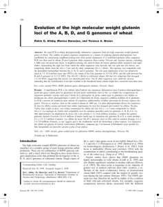 Evolution of the high molecular weight glutenin